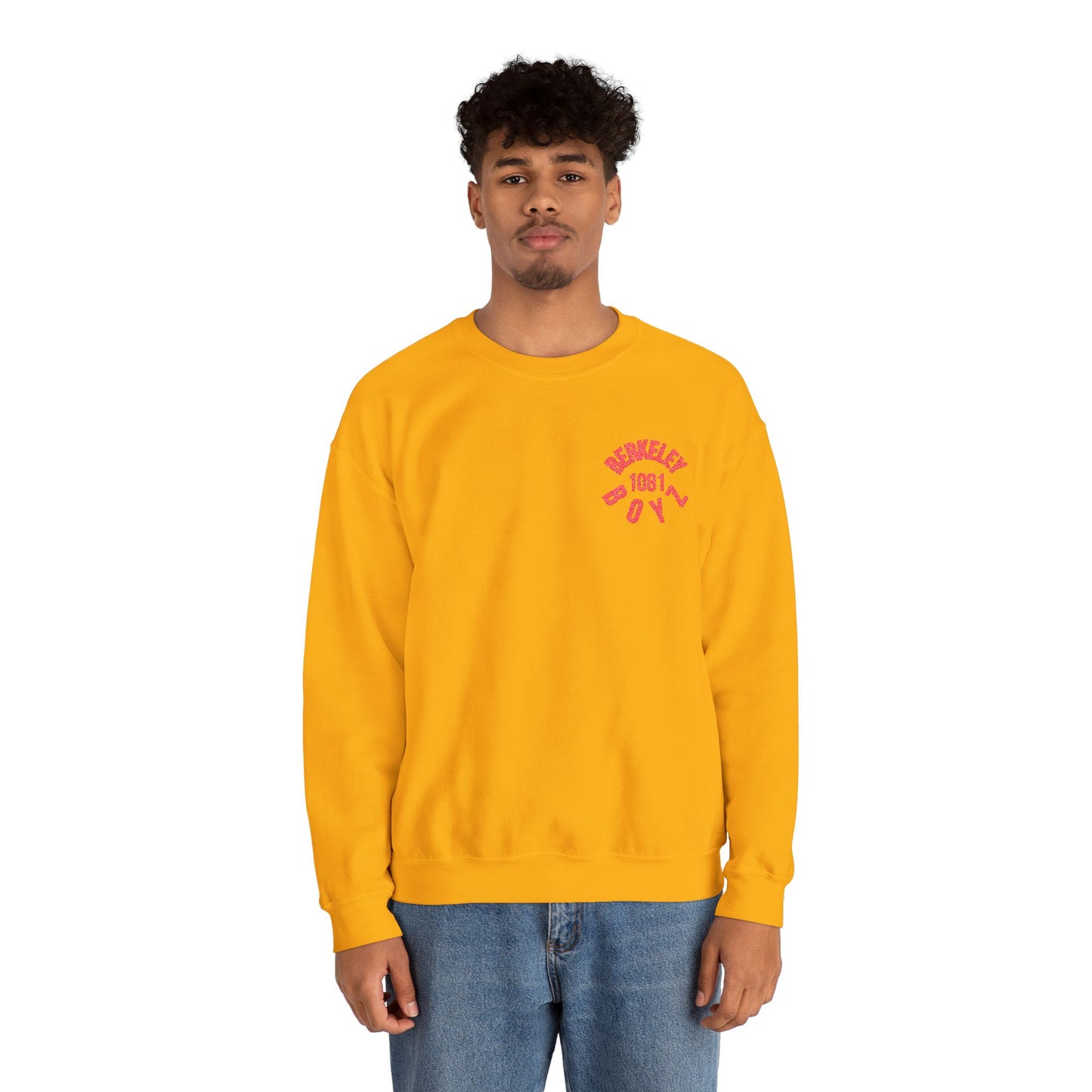 Cozy Berkeley Crewneck Sweatshirt, Unisex Sweatshirt, Casual Layering, Gift for Students, Streetwear Style, Fall Fashion